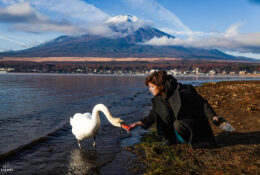 Japan_Autumn_2025 (30/47)